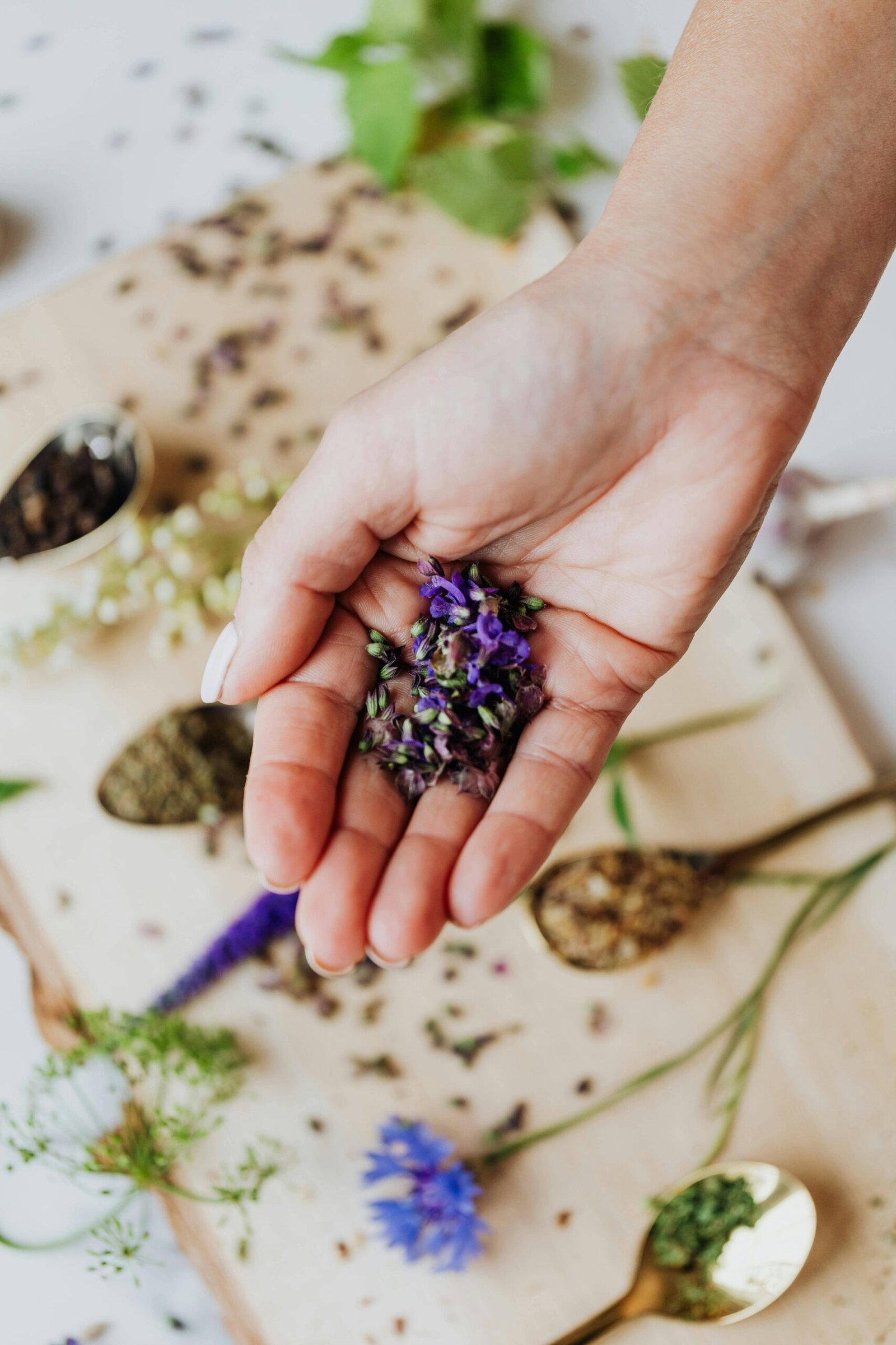 7 Tanaman Herbal Berkhasiat di Halaman Rumah