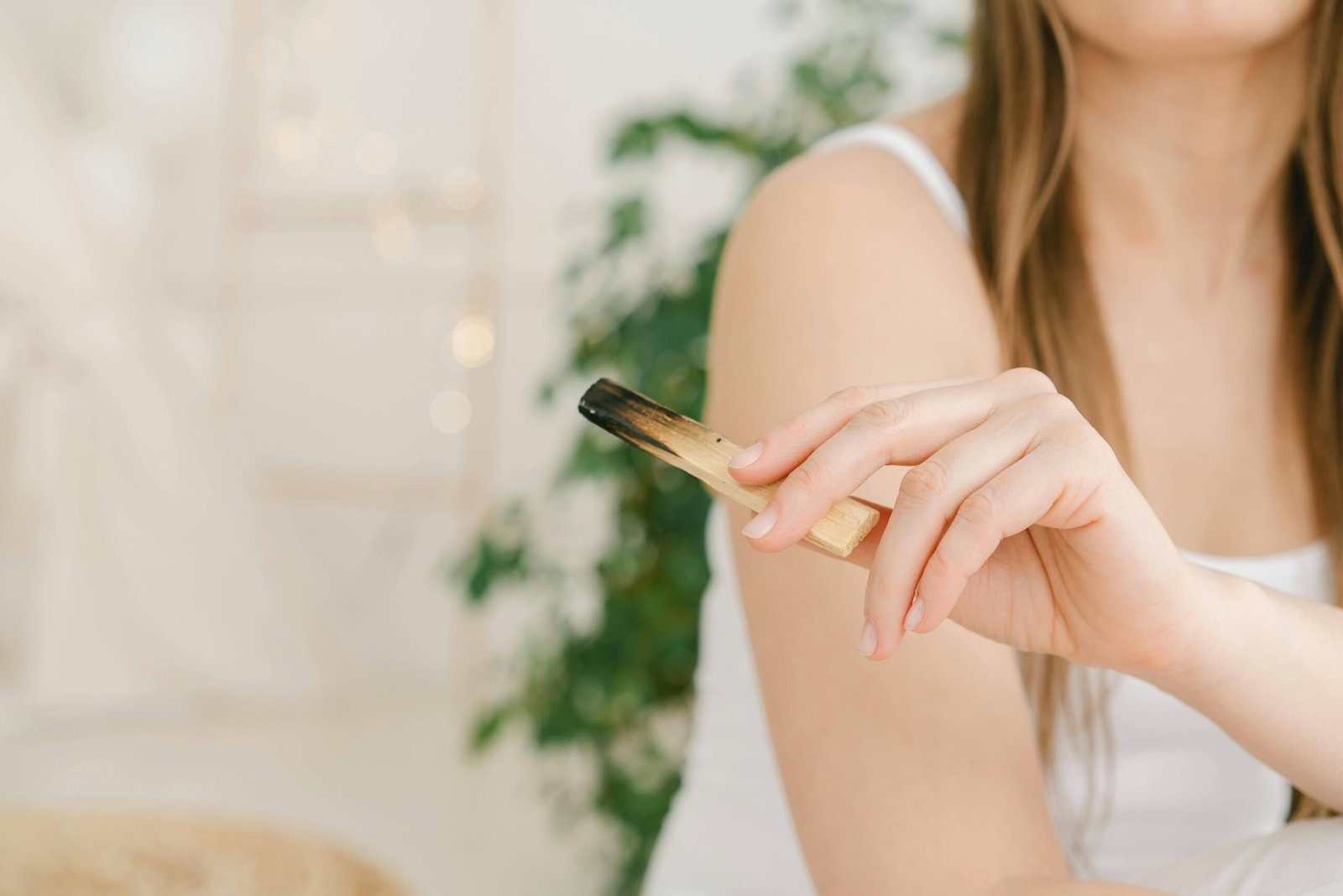 Krisis Pangan Bunuh 60.000 Penguin Afrika