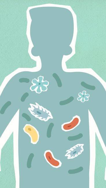 Virus Tersembunyi di Usus Terkait Kanker Kolorektal