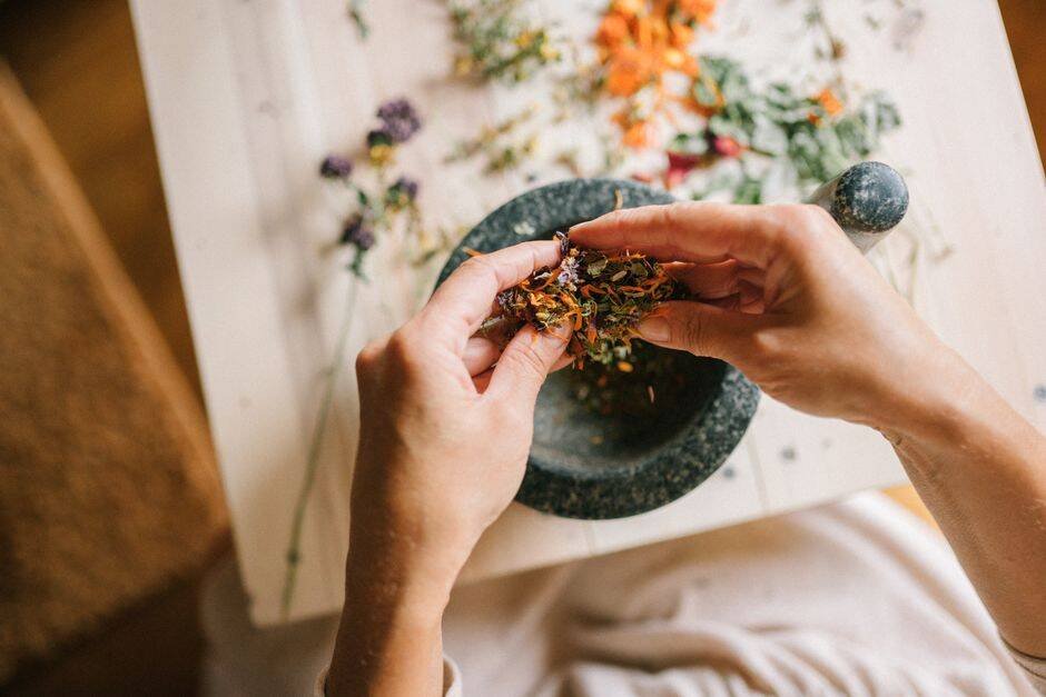 8 Tanaman Herbal Terbaik untuk Kulit Bercahaya